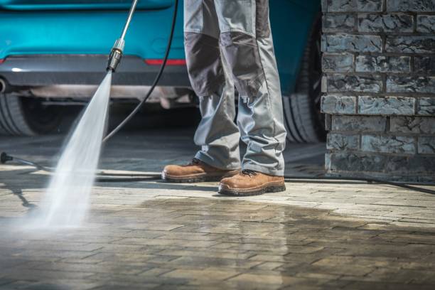 Best Dumpster Area Cleaning  in Lawton, MI