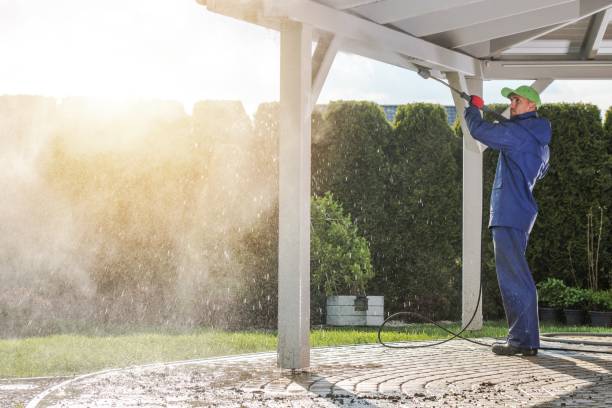 Best Warehouse Cleaning  in Lawton, MI