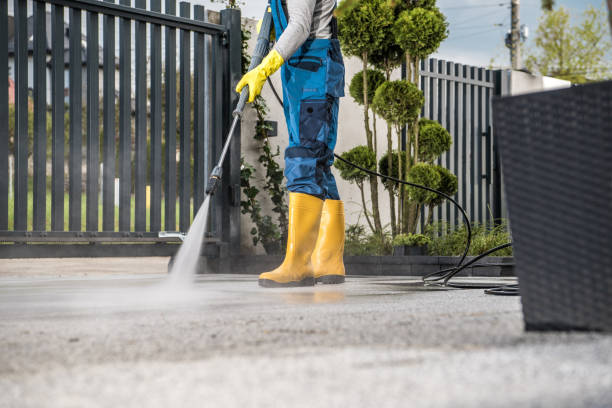 Best Roof Washing  in Lawton, MI